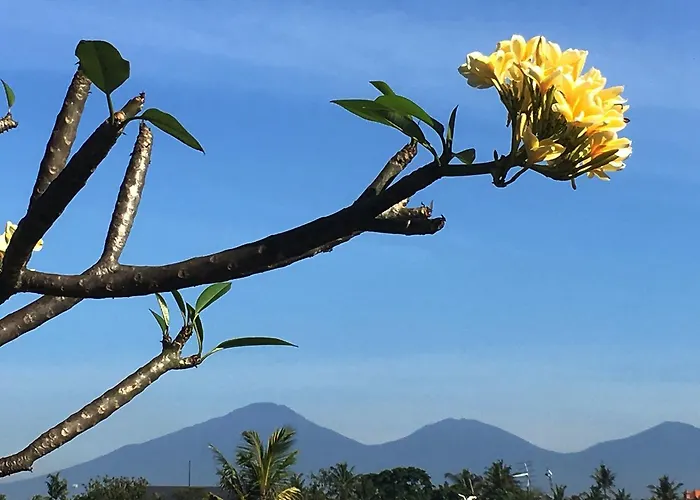 Bulan Bali ホームステイ ウブド
